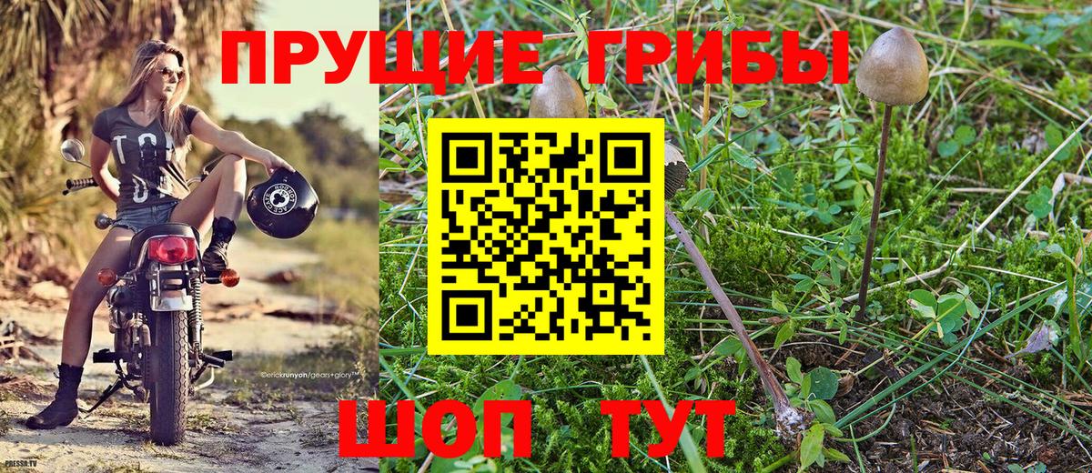 Псилоцибиновые грибы MAGIC MUSHROOMS  Псилоцибиновые грибы мухоморы  Вход с VPN  Великий Новгород 