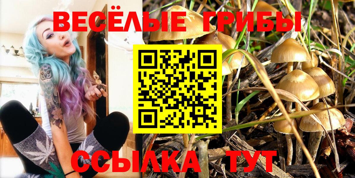 Галлюциногенные грибы мицелий Великий Новгород